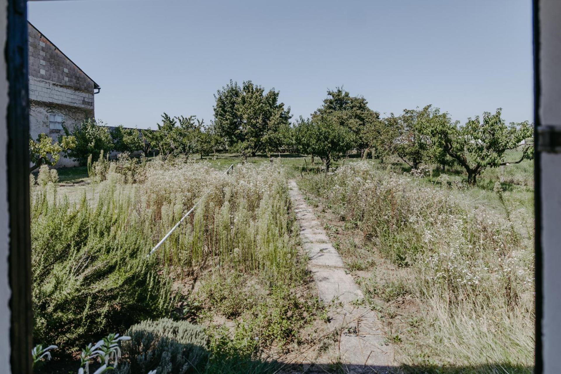 Ferienhaus Wallern Im Burgenland Zewnętrze zdjęcie